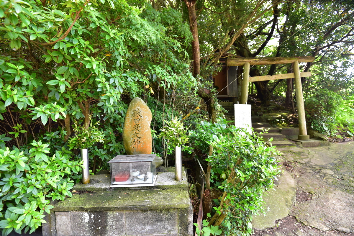 f:id:regenerationderhydra:20201128011924j:plain