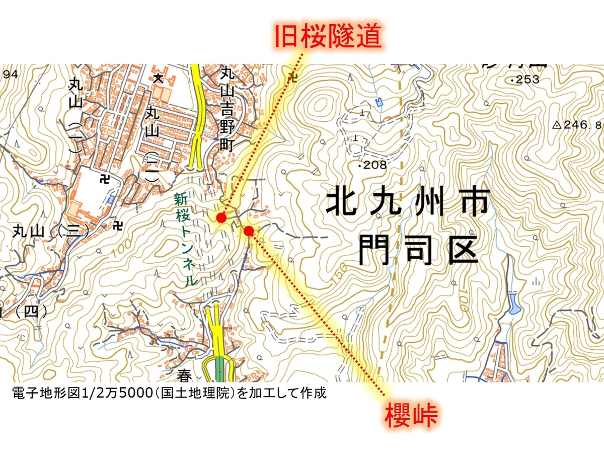 f:id:regenerationderhydra:20201128013124j:plain