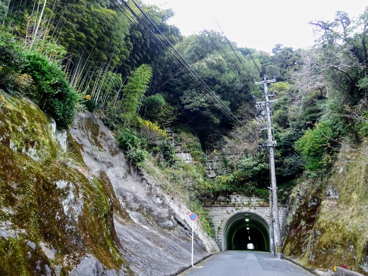 f:id:regenerationderhydra:20201128013225j:plain