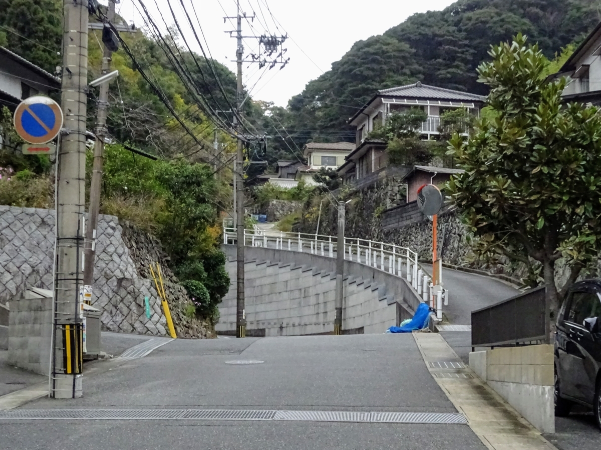 f:id:regenerationderhydra:20201128013334j:plain