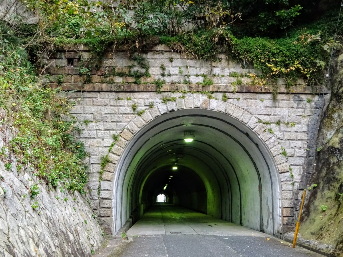 f:id:regenerationderhydra:20201128065153j:plain