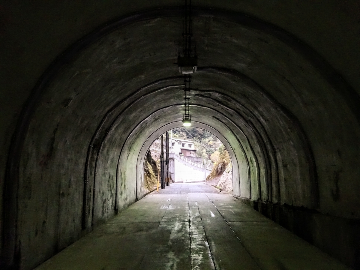 f:id:regenerationderhydra:20201128065232j:plain