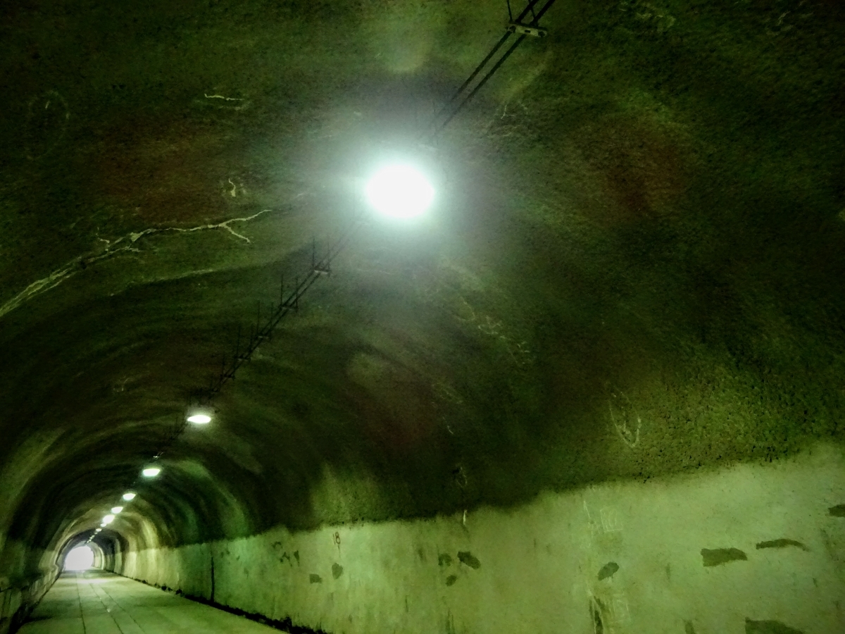 f:id:regenerationderhydra:20201128065301j:plain