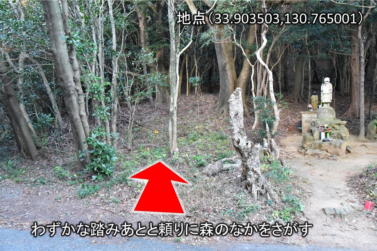 f:id:regenerationderhydra:20201220222100j:plain
