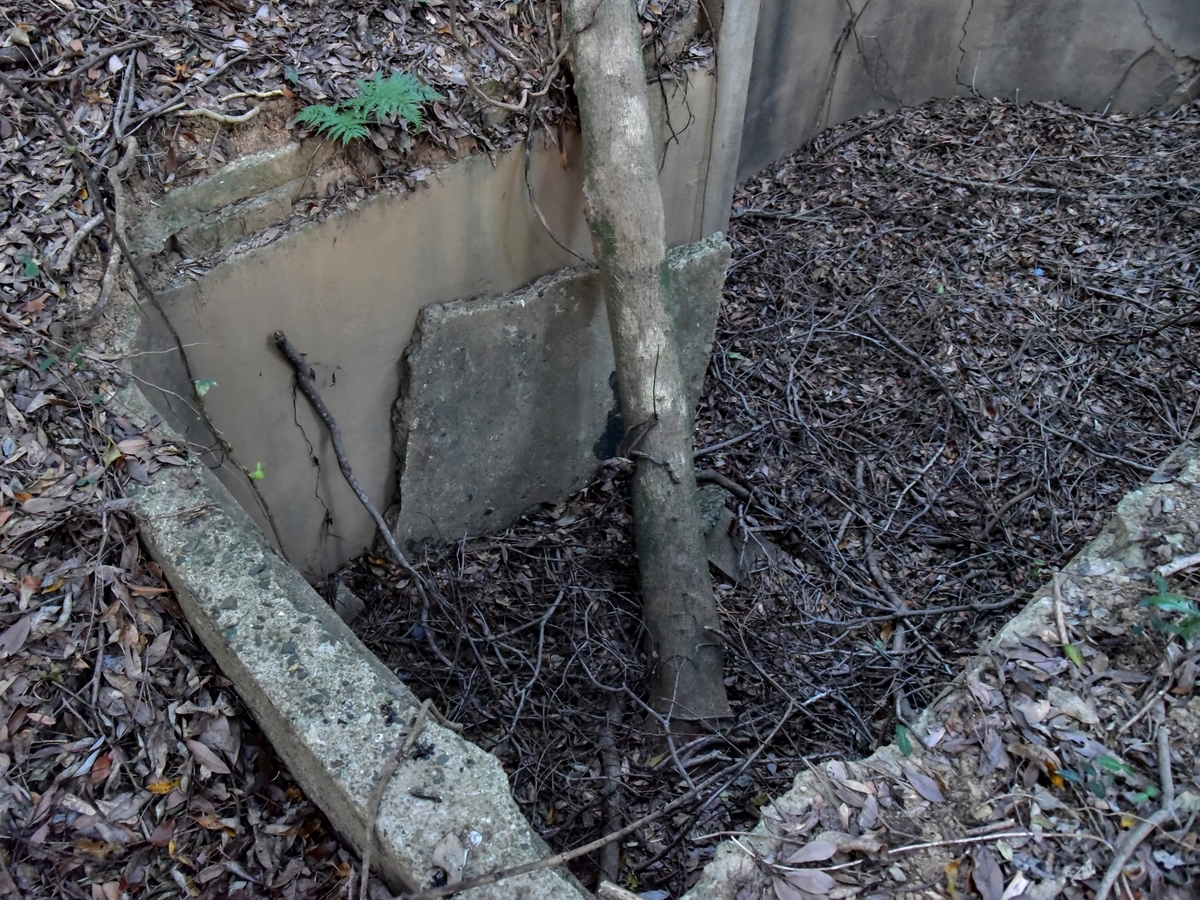 f:id:regenerationderhydra:20201220223559j:plain
