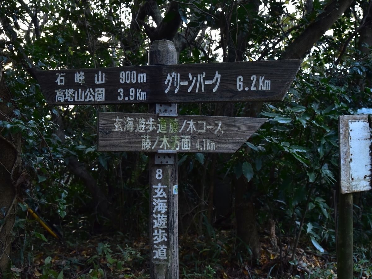 f:id:regenerationderhydra:20201221194352j:plain