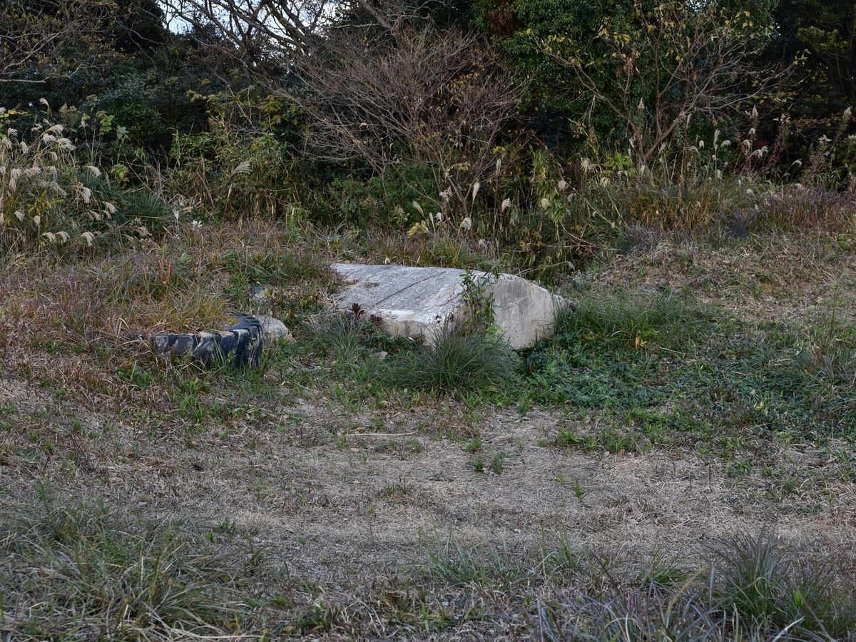 f:id:regenerationderhydra:20201221202128j:plain