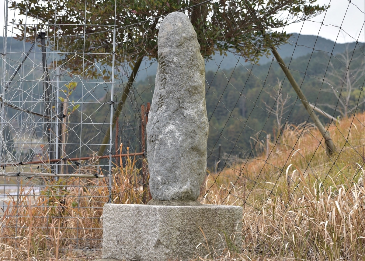 f:id:regenerationderhydra:20210106200104j:plain