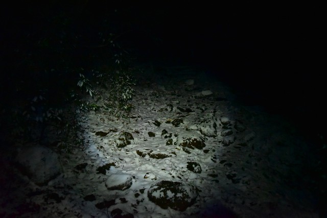 f:id:regenerationderhydra:20210119200111j:image