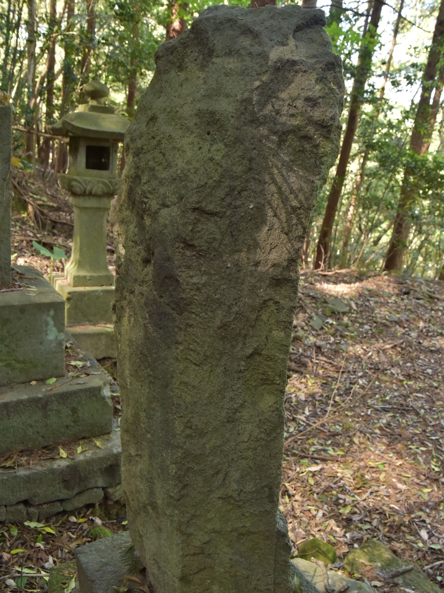 f:id:regenerationderhydra:20210412064633j:plain