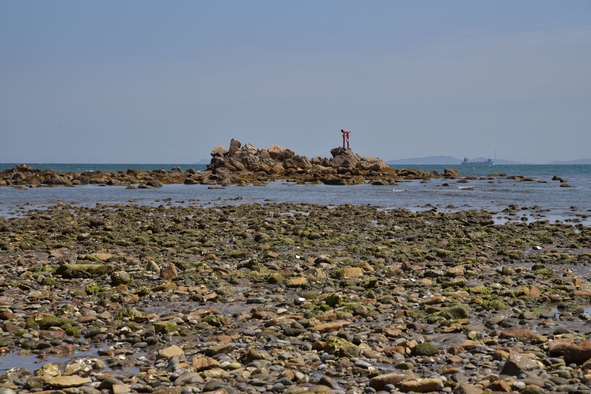 f:id:regenerationderhydra:20210417111015j:plain