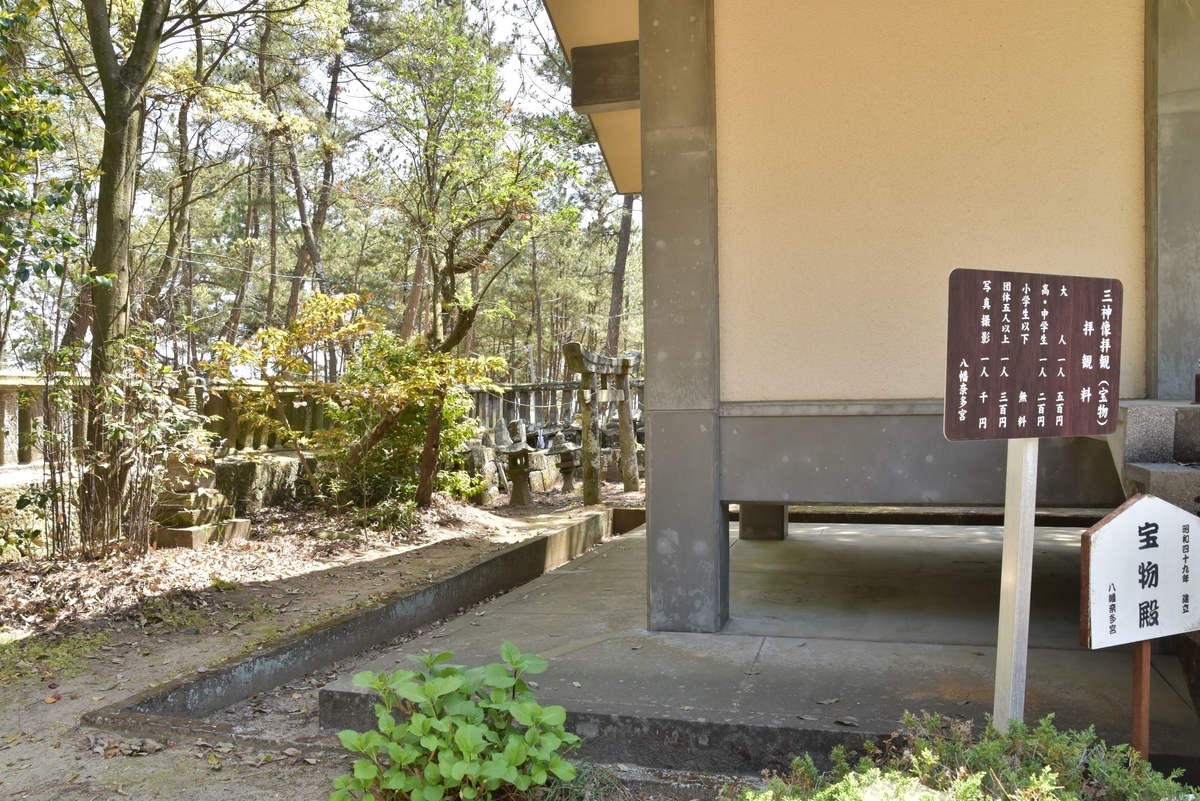 f:id:regenerationderhydra:20210417111020j:plain