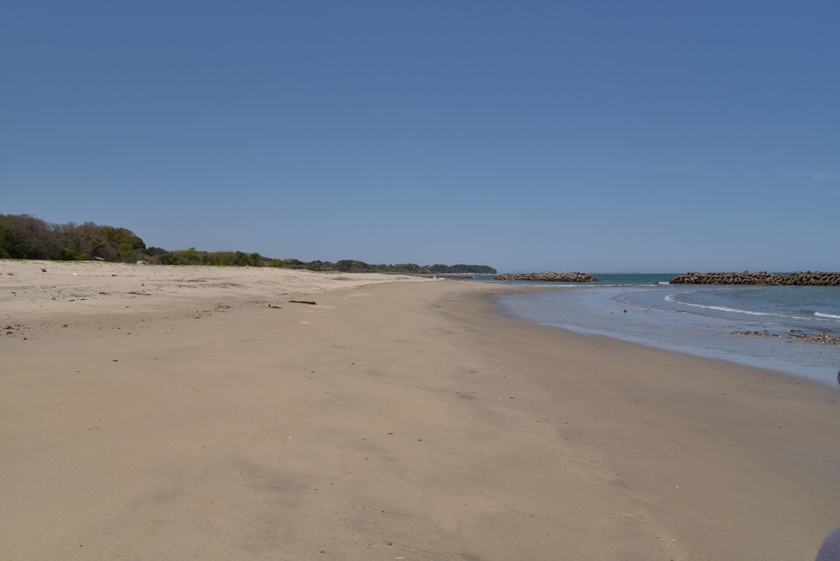 f:id:regenerationderhydra:20210417113703j:plain