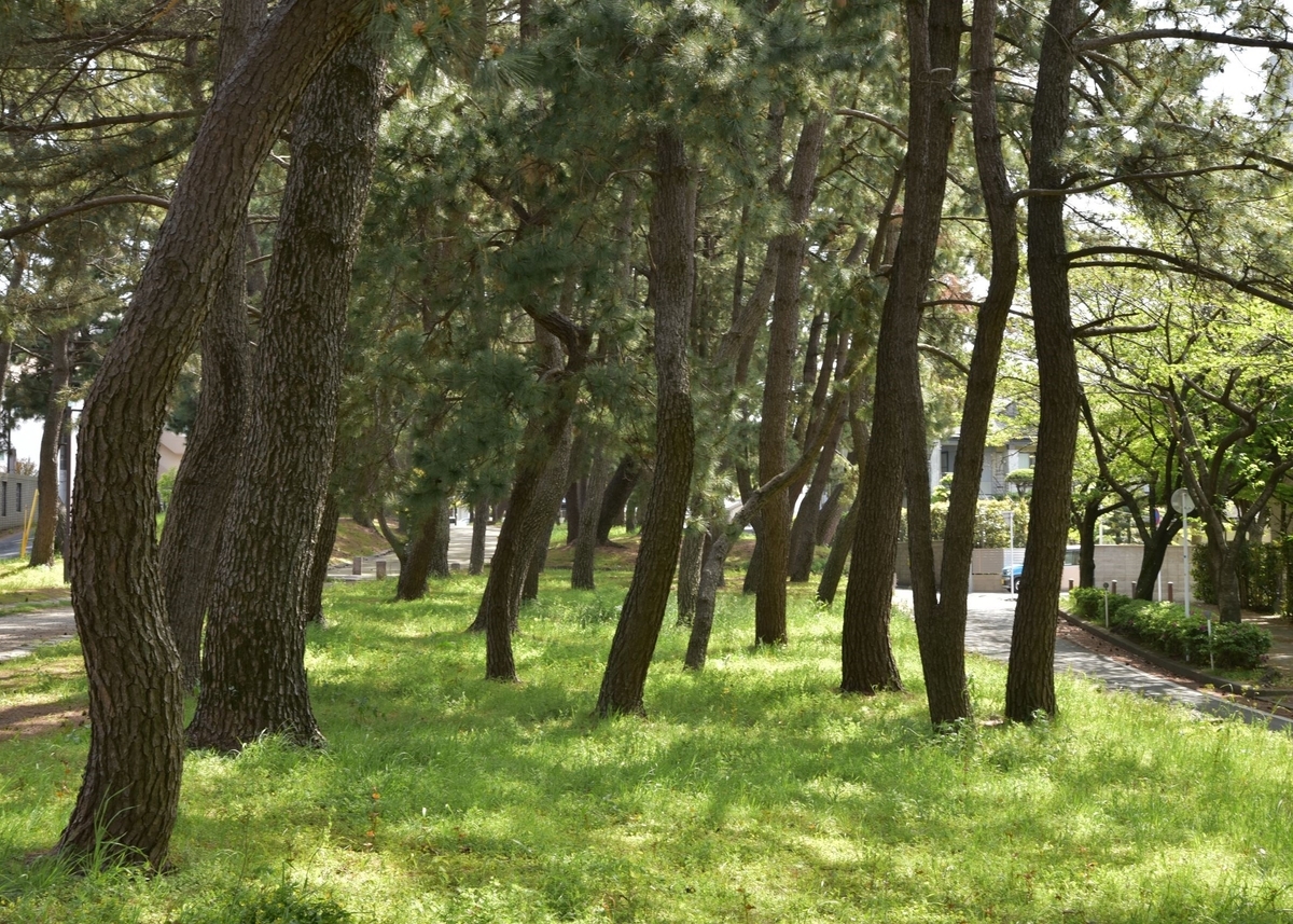 f:id:regenerationderhydra:20210422194447j:plain