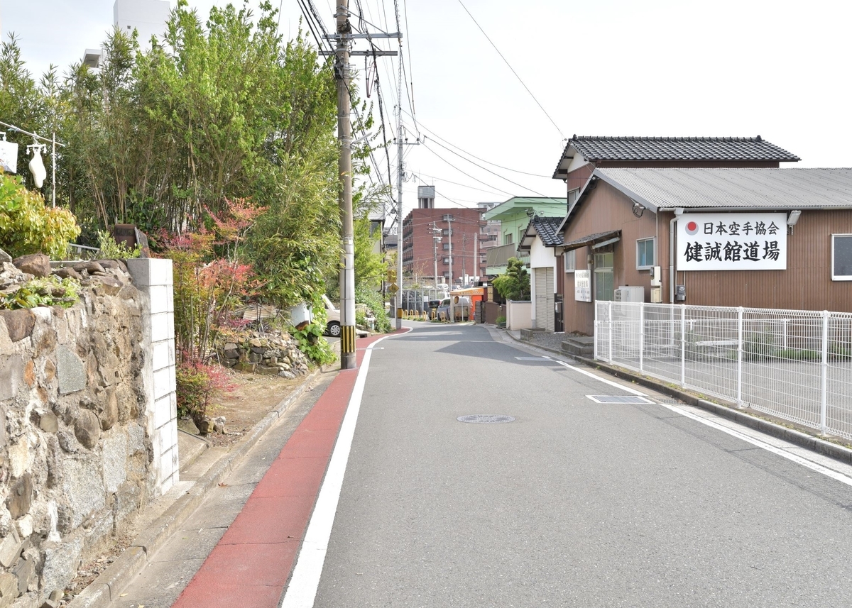 f:id:regenerationderhydra:20210422194459j:plain