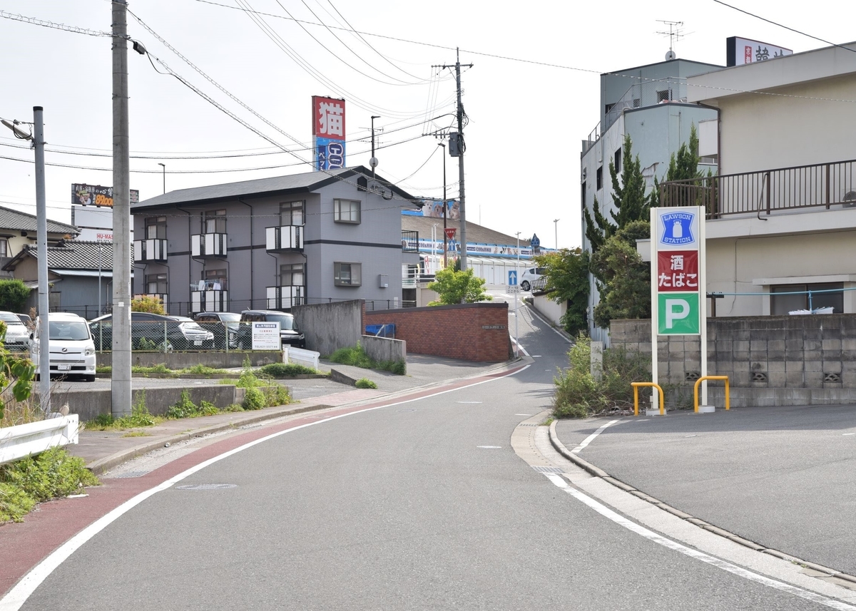 f:id:regenerationderhydra:20210422194511j:plain