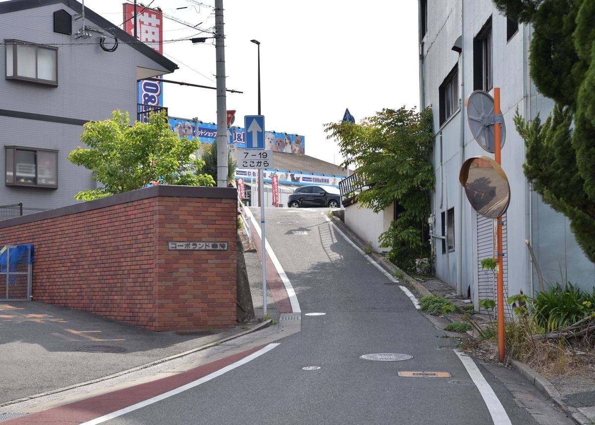 f:id:regenerationderhydra:20210422194517j:plain