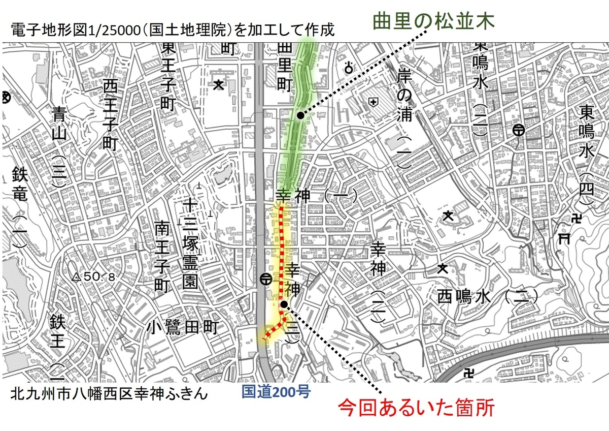 f:id:regenerationderhydra:20210422202445j:plain