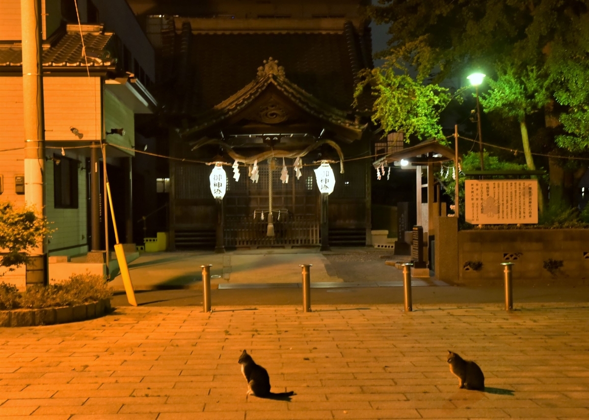 戸畑恵美須神社 福岡県北九州市戸畑区北鳥旗町 日々の 楽しい をみつけるブログ 戸畑恵美須神社 福岡県北九州市戸畑区北鳥旗町 日々の 楽しい をみつけるブログ