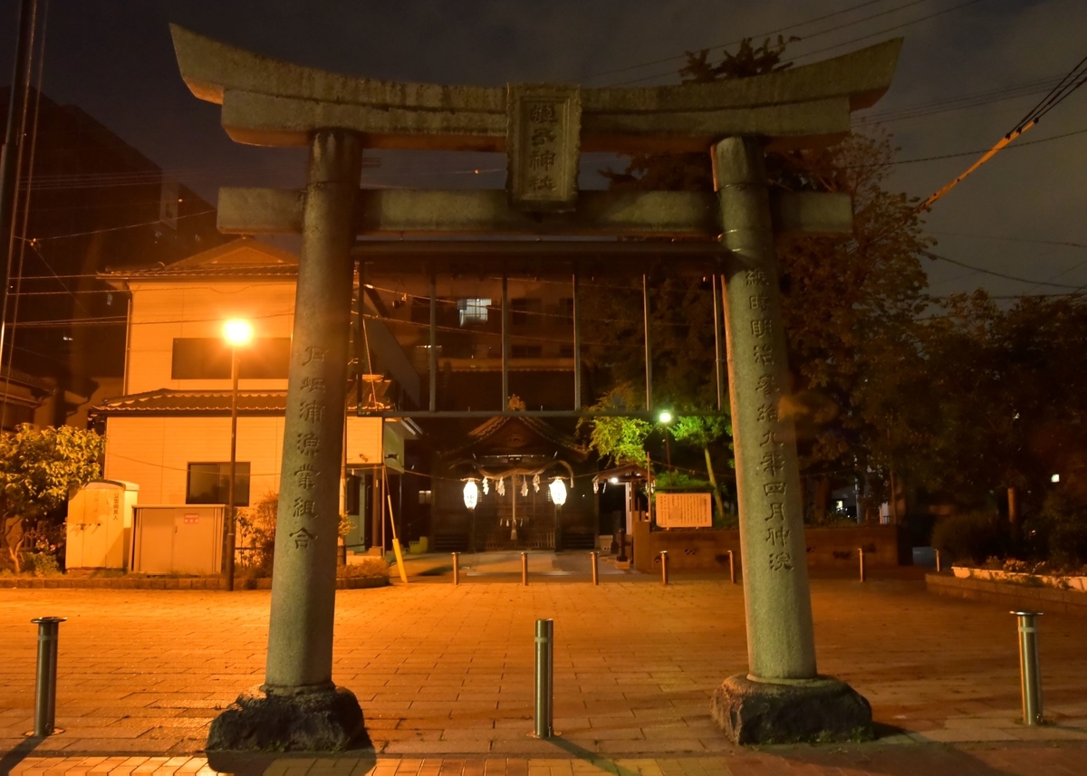 f:id:regenerationderhydra:20210425075313j:plain