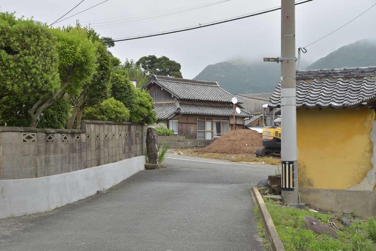 f:id:regenerationderhydra:20210624202658j:plain