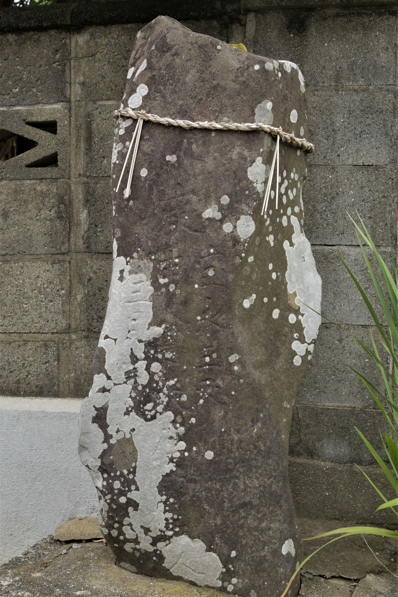 f:id:regenerationderhydra:20210624202727j:plain