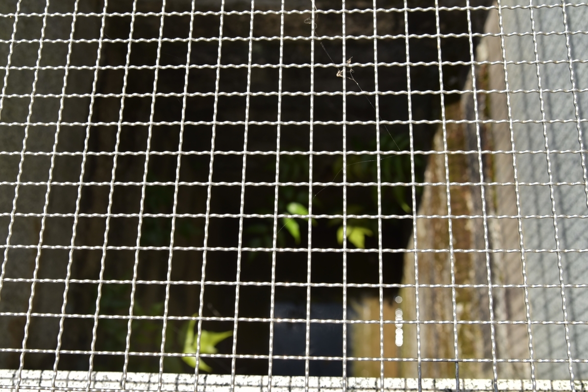 f:id:regenerationderhydra:20210802203749j:plain