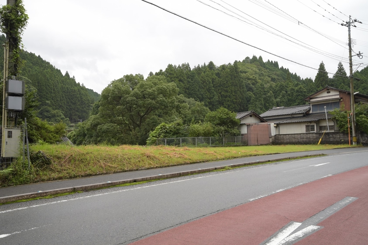 f:id:regenerationderhydra:20210824083358j:plain