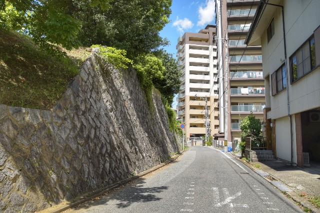 f:id:regenerationderhydra:20210911153149j:image