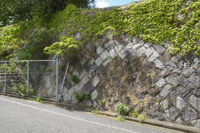 f:id:regenerationderhydra:20210911153202j:image