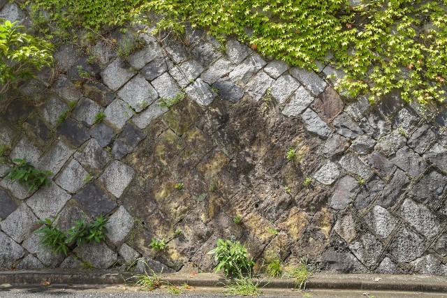 f:id:regenerationderhydra:20210911153212j:image