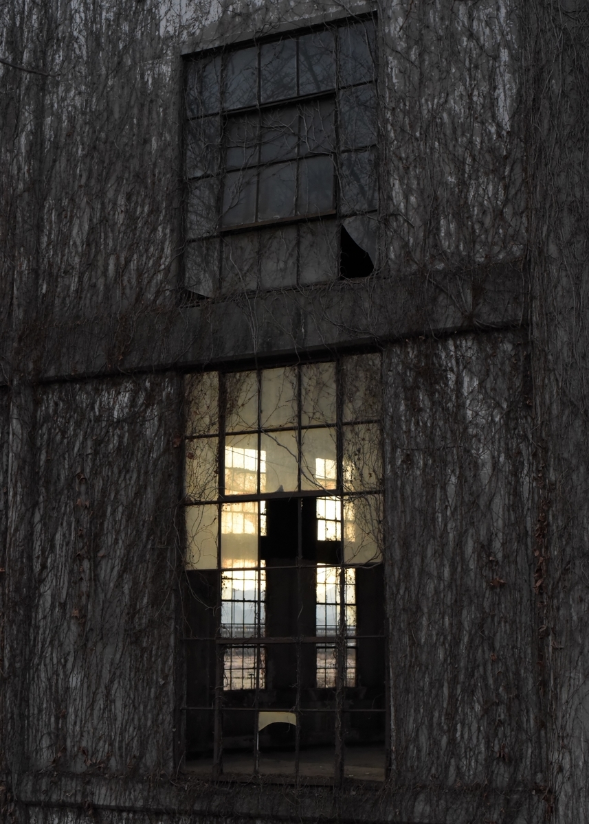 f:id:regenerationderhydra:20220108110022j:plain