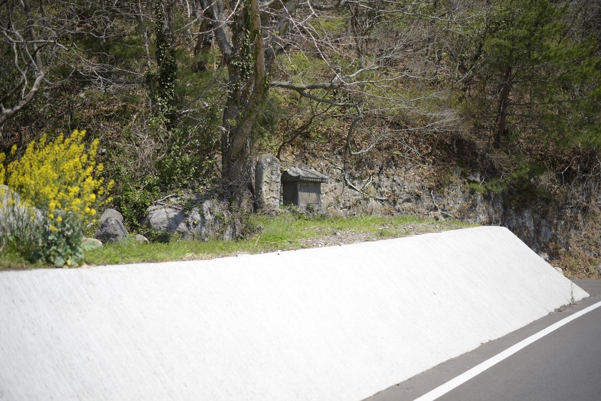 f:id:regenerationderhydra:20220412185249j:plain