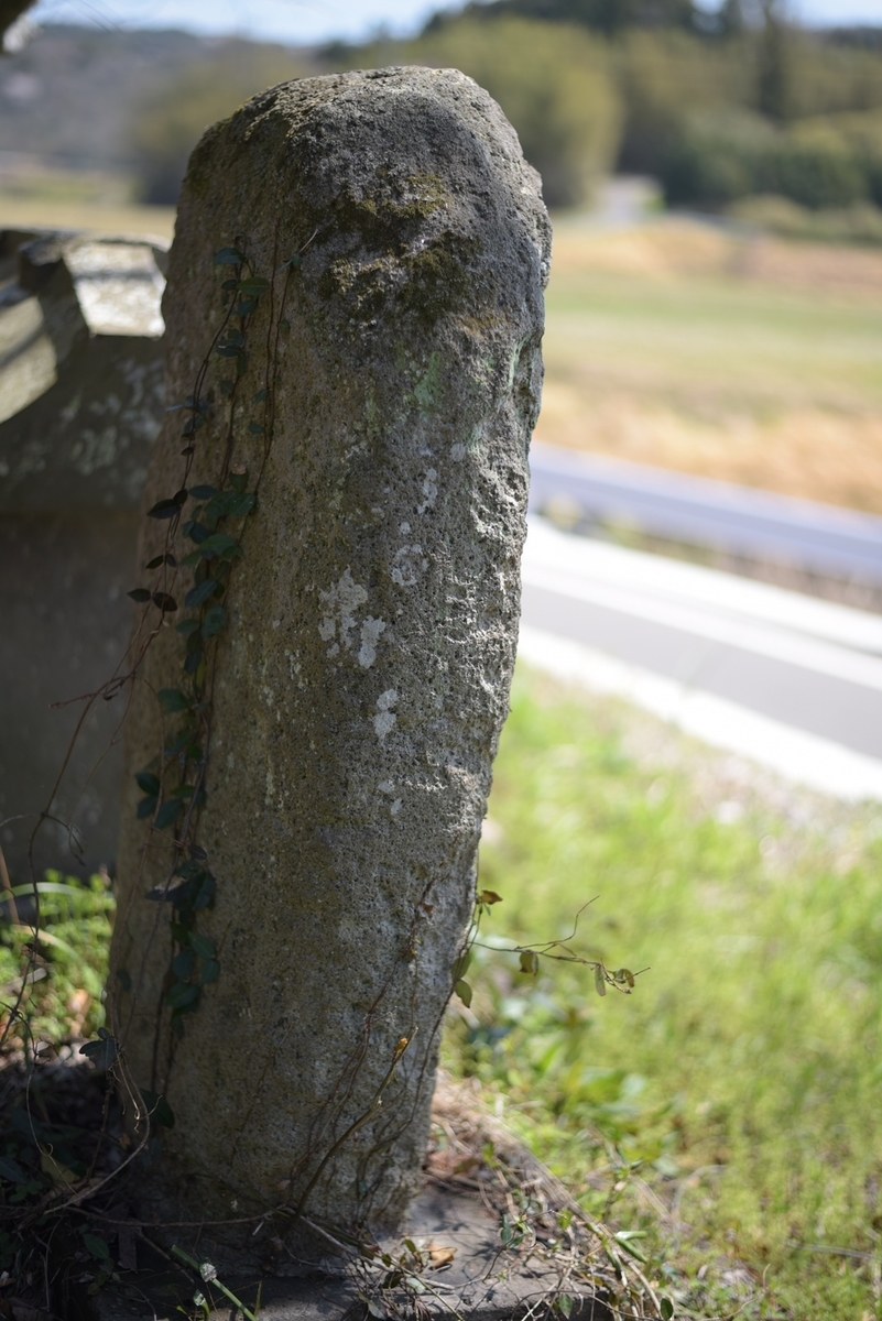 f:id:regenerationderhydra:20220412185741j:plain