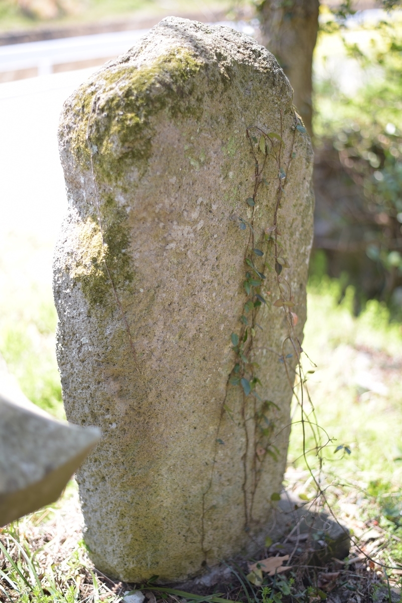 f:id:regenerationderhydra:20220412185757j:plain