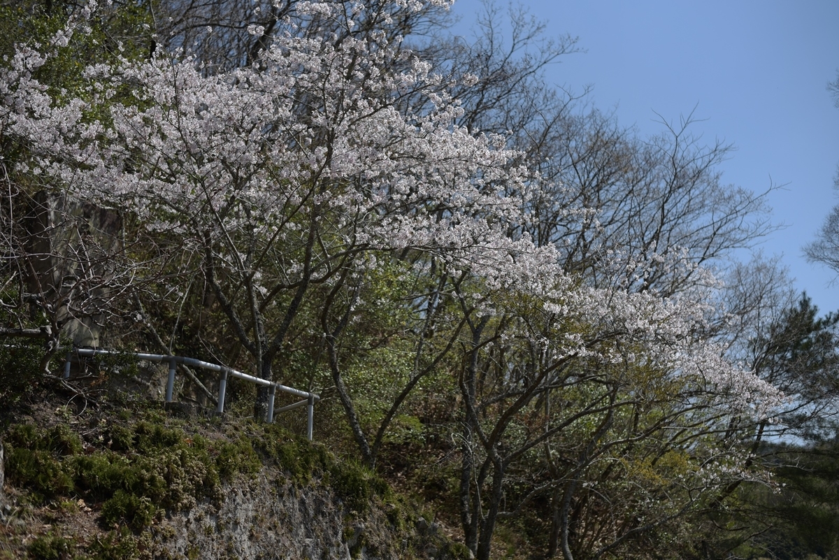 f:id:regenerationderhydra:20220412185909j:plain