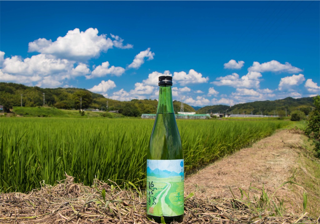 f:id:regionaltetsu:20170829070145j:image