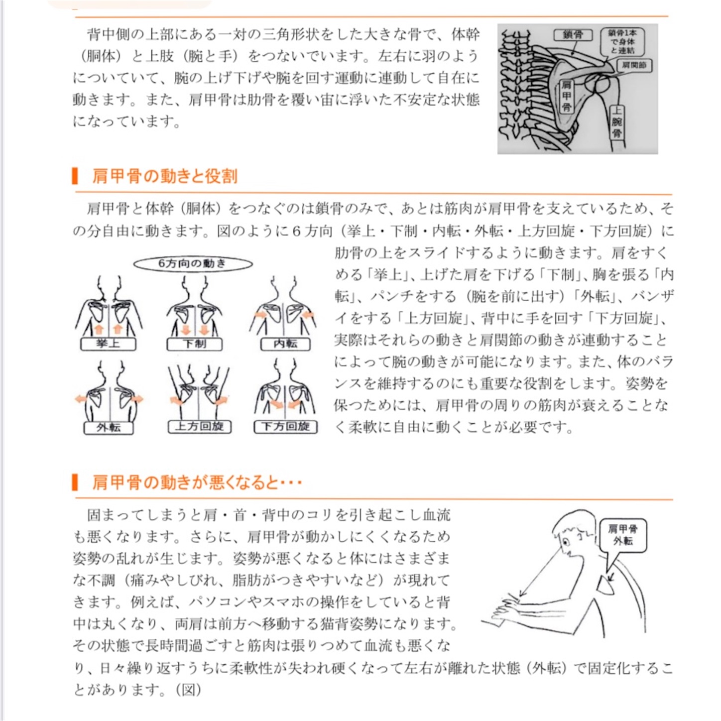 力一杯に