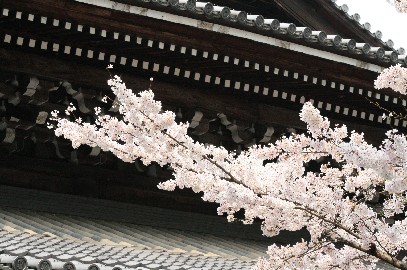 https://cdn-ak.f.st-hatena.com/images/fotolife/r/regretlife/20010101/20010101010140.jpg