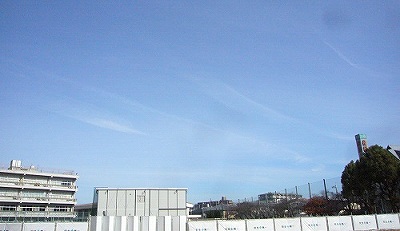 イメージ 16