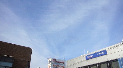 イメージ 5