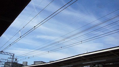 イメージ 7