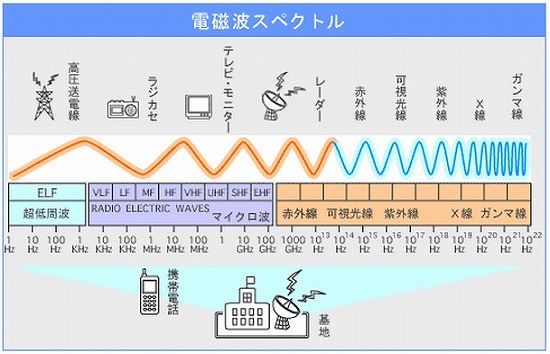 子供を電磁波から守れ - 紅いサルビア