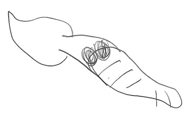 f:id:rehamom:20200701152605j:plain