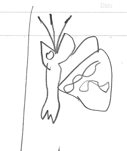 f:id:rehamom:20200701152808j:plain