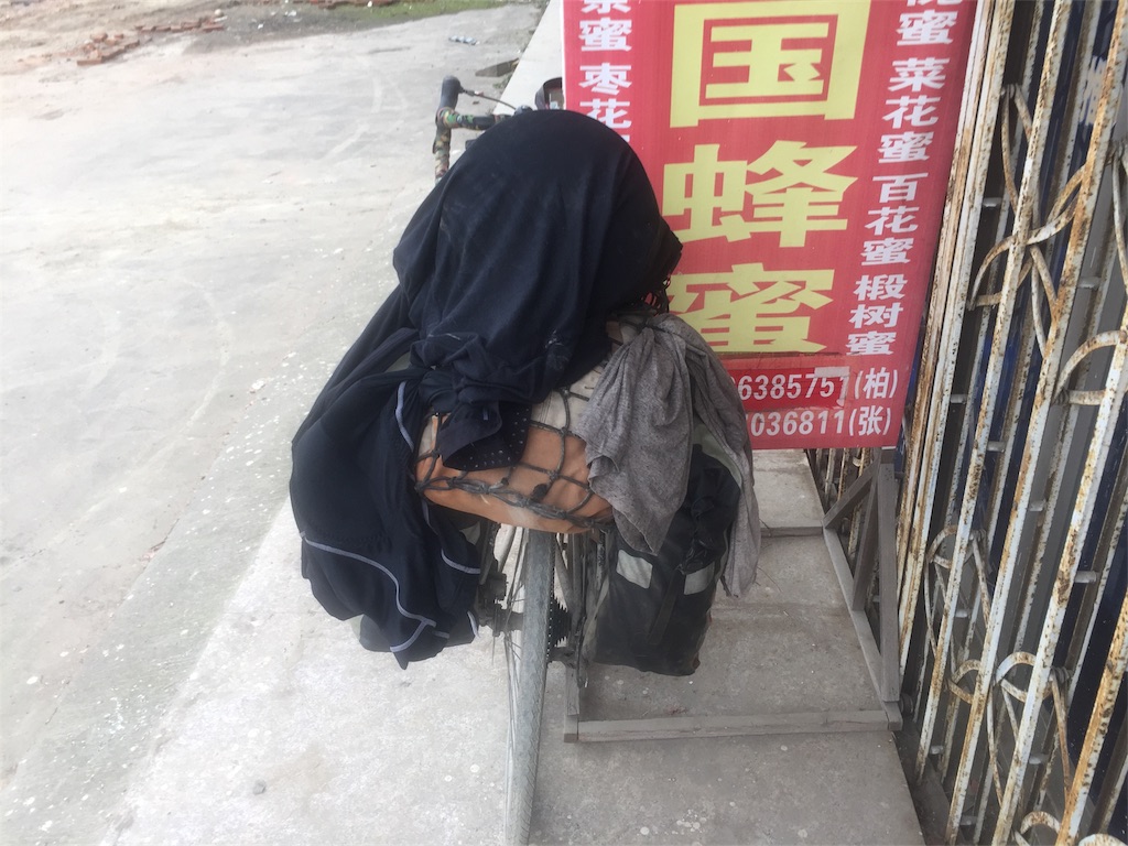 f:id:rehutitake:20180113182103j:image f:id:rehutitake:20180113182103j:image