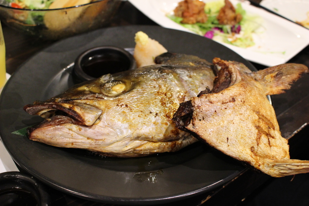 f:id:rei-mochiduki:20190217024618j:plain f:id:rei-mochiduki:20190217024618j:plain