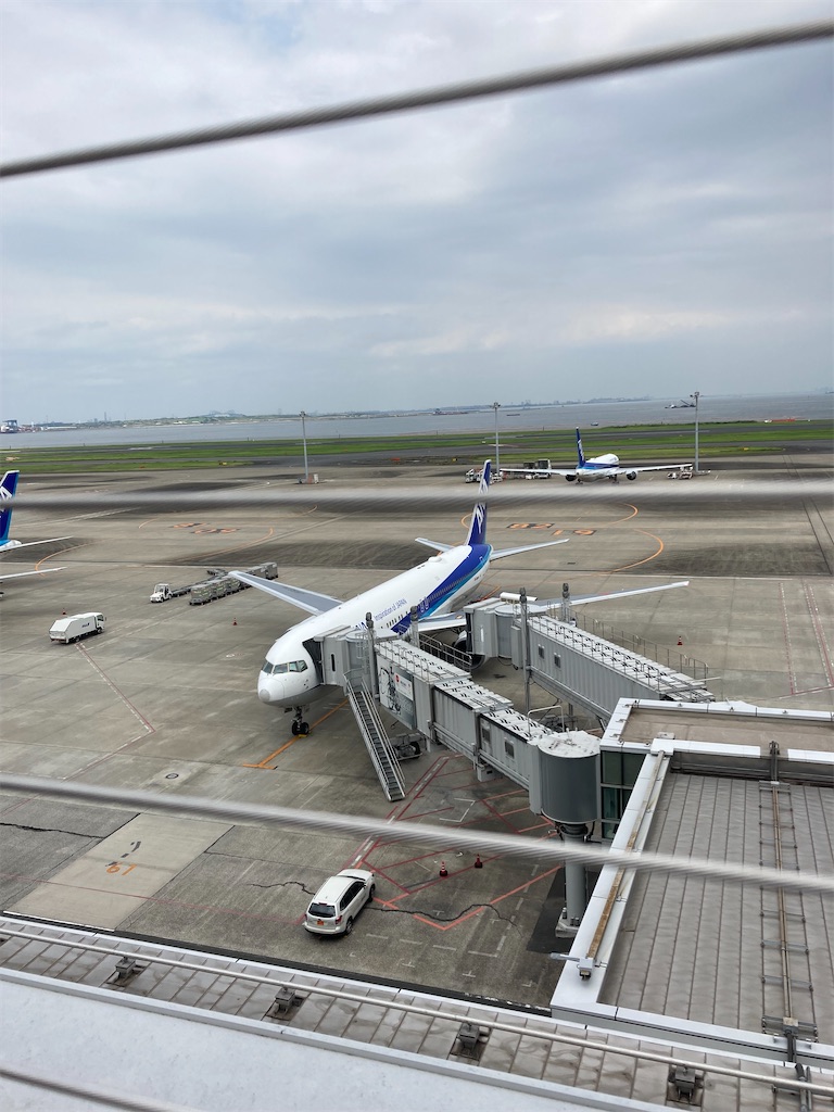 f:id:rei-tokyo:20210831221511j:image f:id:rei-tokyo:20210831221511j:image