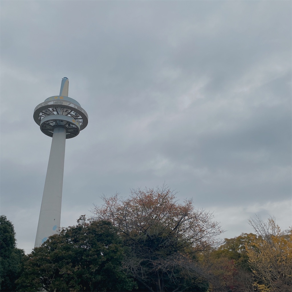 f:id:rei-tokyo:20211201190231j:image