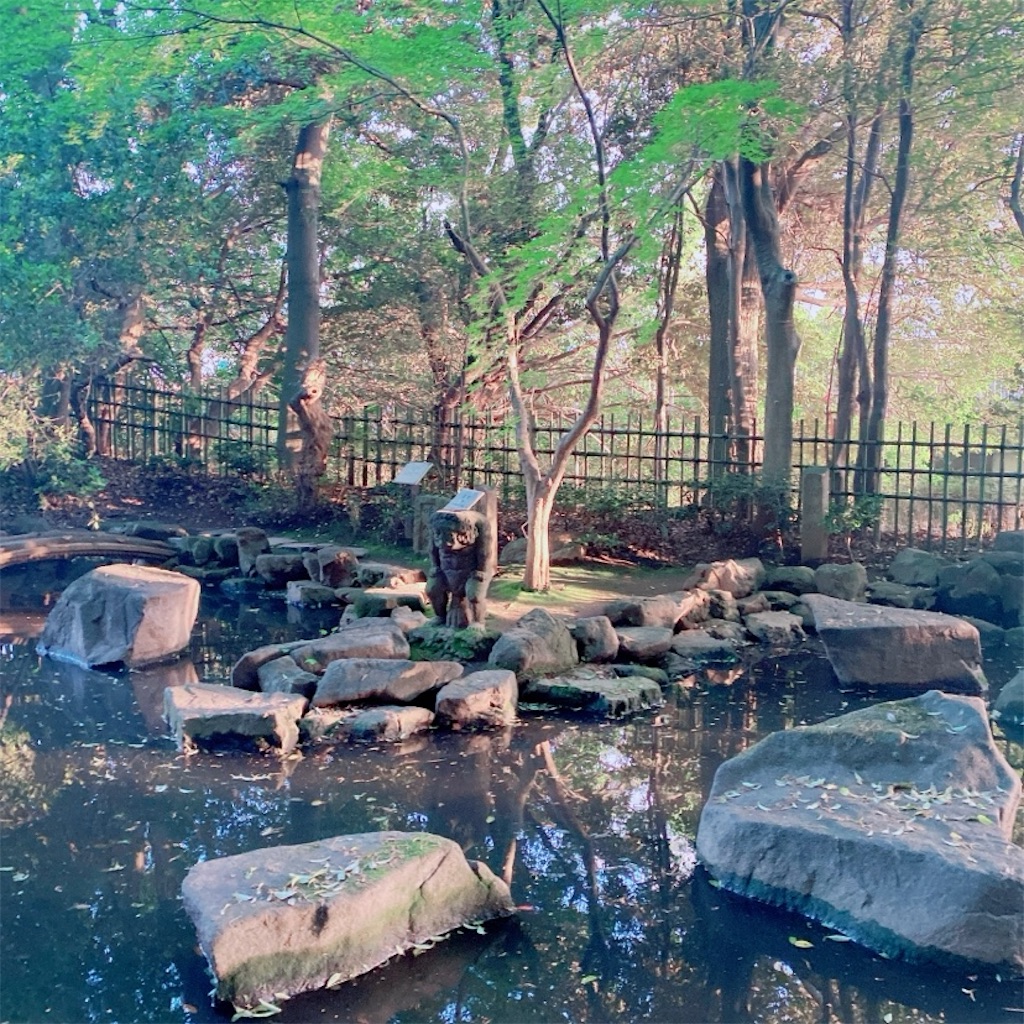 f:id:rei-tokyo:20220607171616j:image